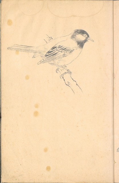 藏品:臨古畫,寫生等(1935赴日開始畫至光復1945結束 )063的(52)張圖片