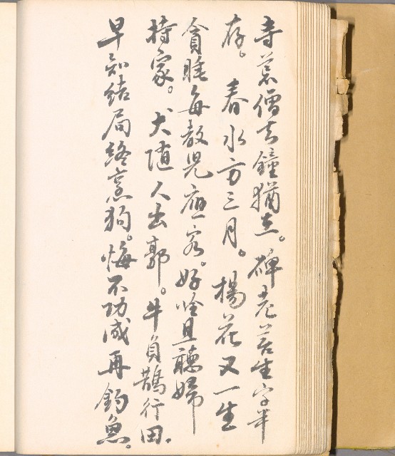 藏品:畫譜DI001的(17)張圖片