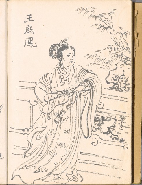 藏品:畫譜DI001的(37)張圖片