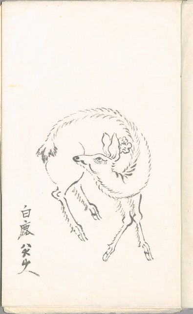 藏品:臨仿古人名家作品、 鹿、草書、仕女等畫譜DI003-1的(3)張圖片