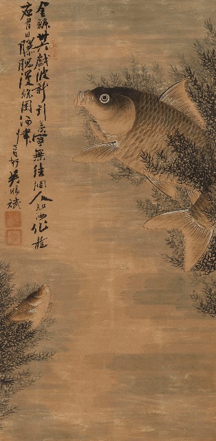 藏品:魚的(1)張圖片