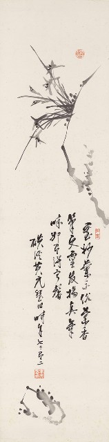 藏品:蘭石的(1)張圖片