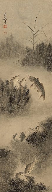 鯉魚圖的焦點圖