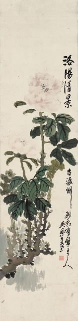 藏品:牡丹的(1)張圖片