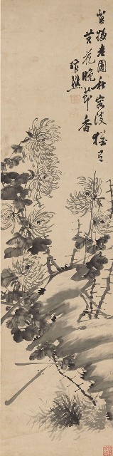 藏品:菊花的(1)張圖片