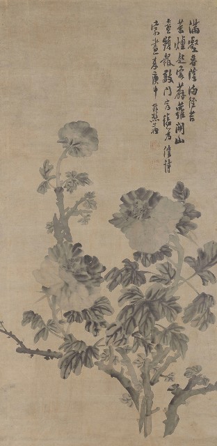藏品:澹墨牡丹圖的(1)張圖片