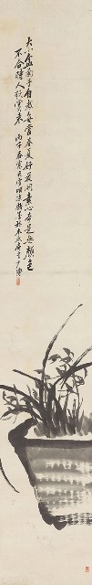 藏品:盆蘭的(1)張圖片