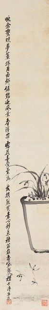 藏品:蘭花的(1)張圖片