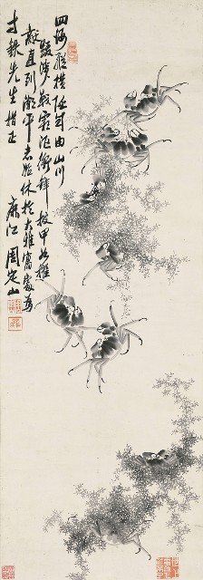 藏品:蟹(II)的(1)張圖片