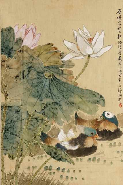 藏品:荷塘鴛鴦的(1)張圖片