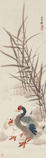 藏品:蘆鴨的(1)張圖片