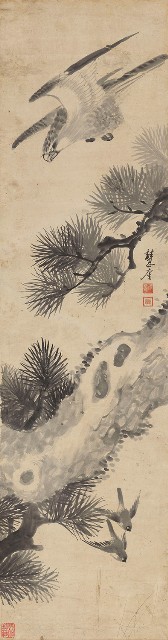 松鷹圖的焦點圖