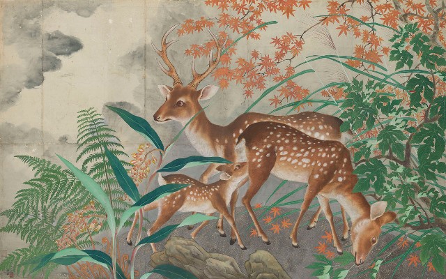 藏品:鹿圖的(1)張圖片