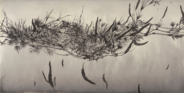 藏品:九節拂風•參的(1)張圖片