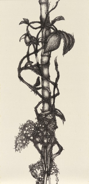 藏品:九節拂風•捌：常玉演的(1)張圖片