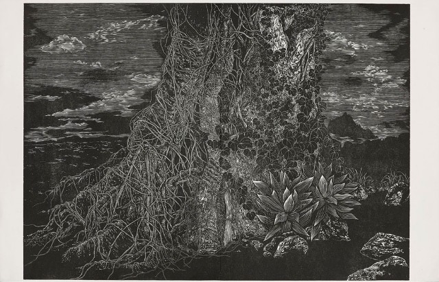 遠遠關注著的焦點圖