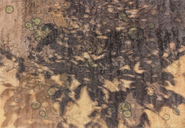 藏品:20198的(1)張圖片