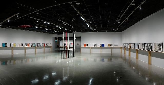 藏品:手的競技場的(1)張圖片