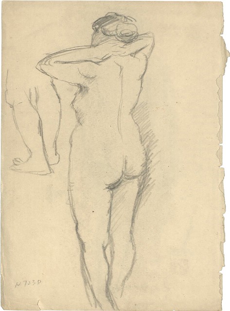 藏品:裸女(18) / 裸女(19)的(2)張圖片