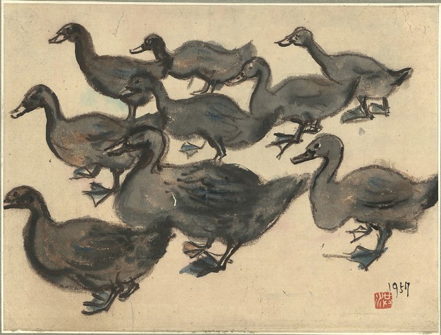 藏品:鴨子的(1)張圖片