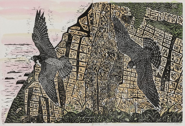 藏品:海邊有隼-岩壁的(1)張圖片