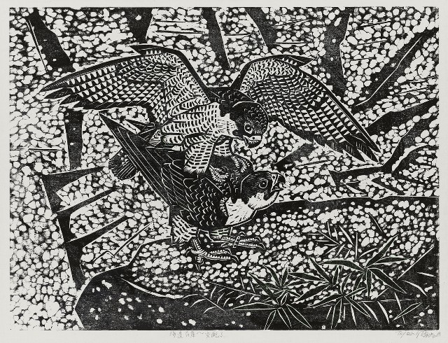 藏品:海邊有隼-交配了的(1)張圖片