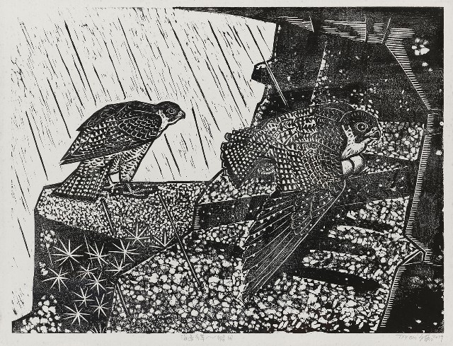 藏品:海邊有隼-孵卵的(1)張圖片