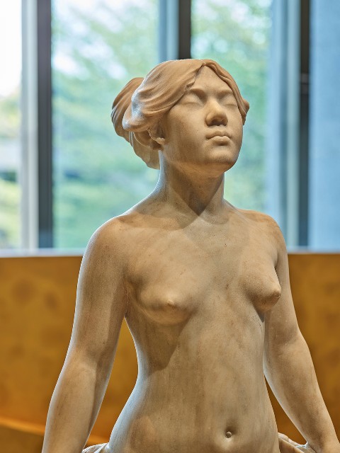 藏品:甘露水的(4)張圖片