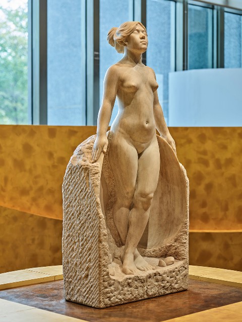 藏品:甘露水的(5)張圖片