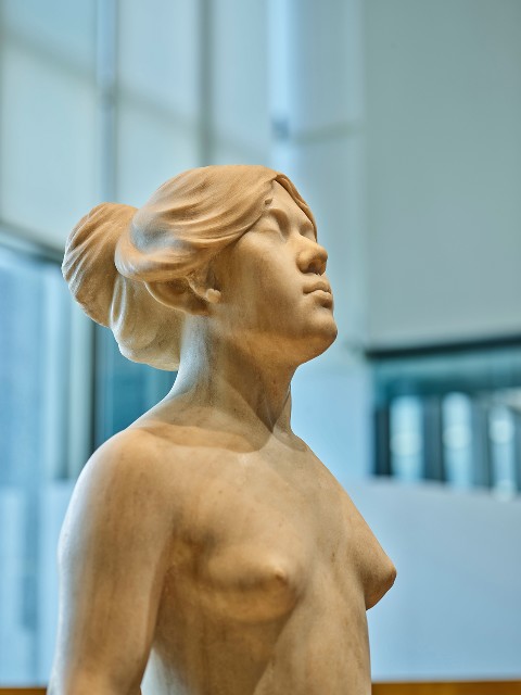 藏品:甘露水的(6)張圖片