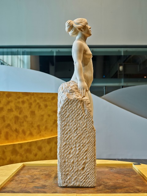 藏品:甘露水的(8)張圖片