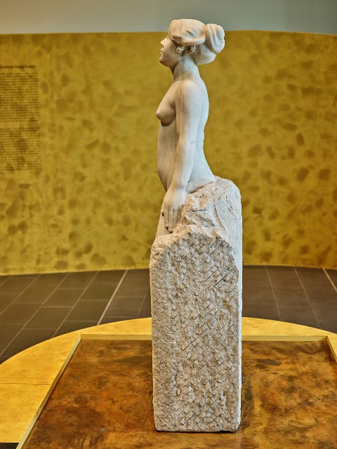 藏品:甘露水的(14)張圖片