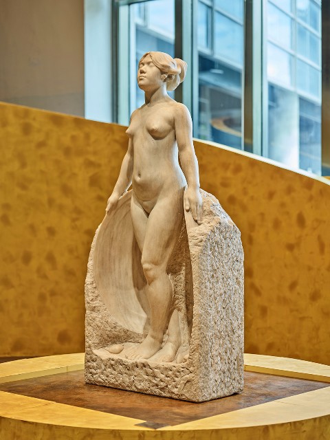 藏品:甘露水的(17)張圖片