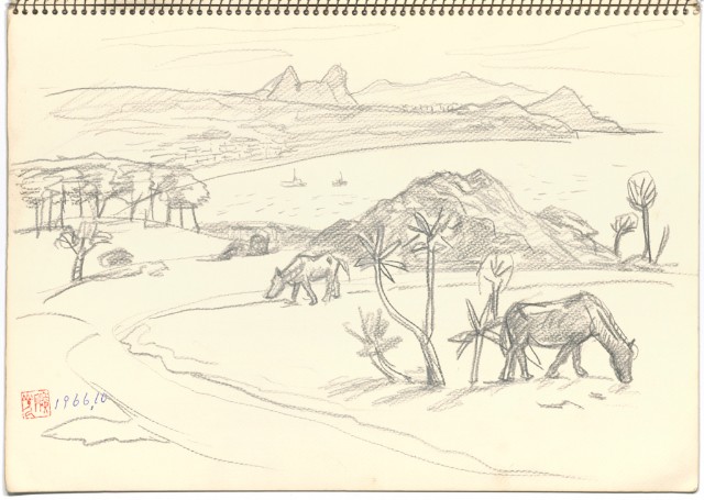 藏品:日本 九州金山的(9)張圖片