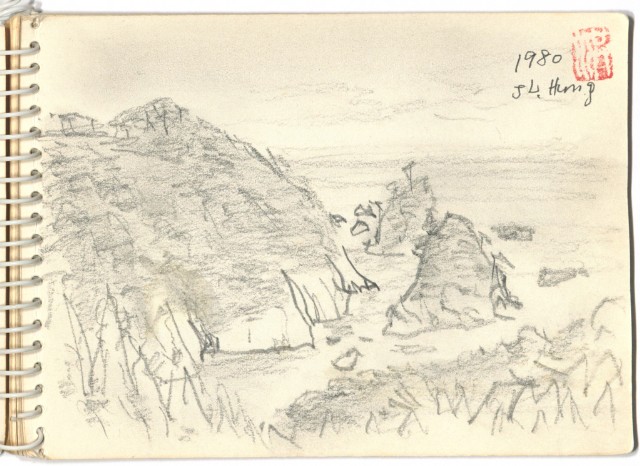 藏品:日本陸中海岸及新宿的(3)張圖片