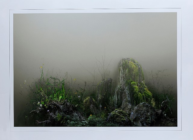 藏品:應許之地II的(1)張圖片