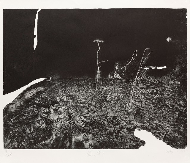 藏品:荒原的(1)張圖片