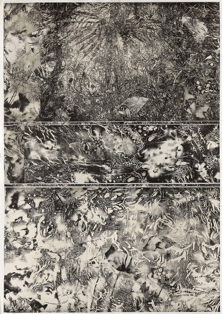 藏品:風的誕生的(1)張圖片