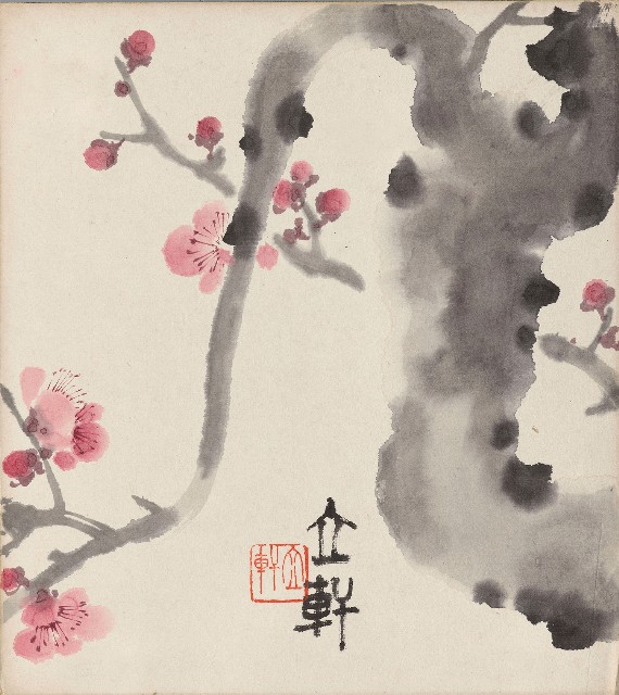 藏品:紅梅的(1)張圖片