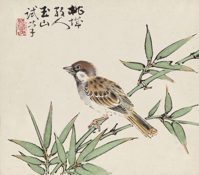 藏品:竹雀的(1)張圖片