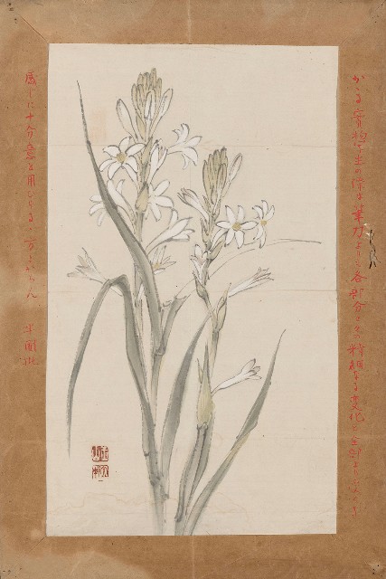 藏品:夜來香的(1)張圖片