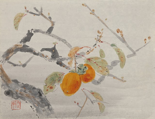 藏品:紅柿樹的(1)張圖片