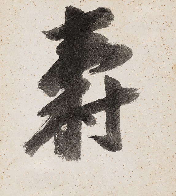 藏品:壽的(1)張圖片
