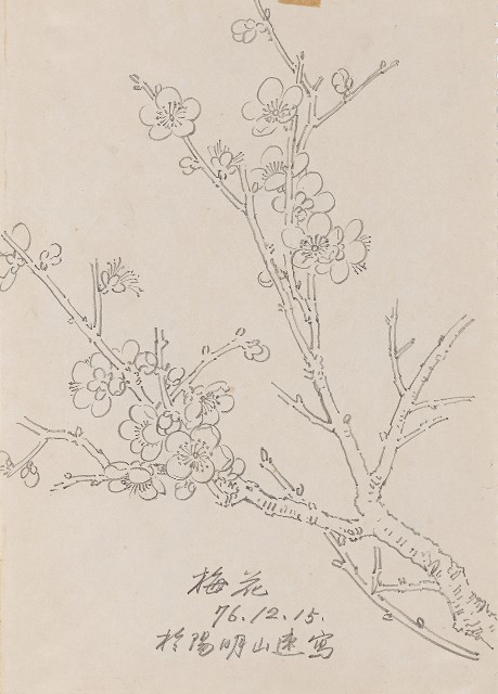 藏品:梅花的(1)張圖片