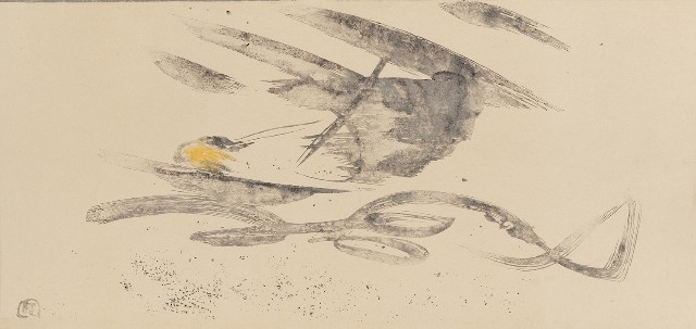 藏品:颶風的(1)張圖片