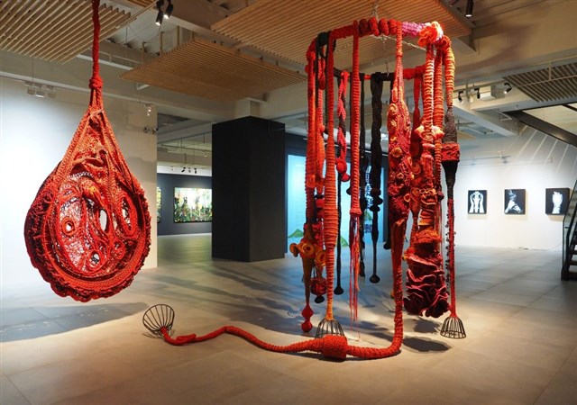 藏品:生命的傳承的(1)張圖片