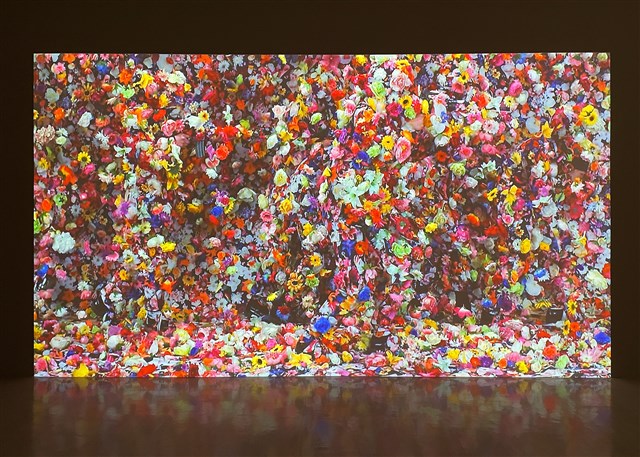 藏品:天使士兵的(1)張圖片