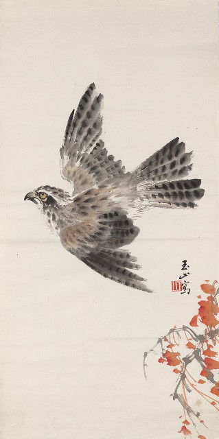 藏品:秋鷹的(1)張圖片