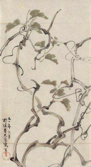藏品:寫生紫藤的(1)張圖片