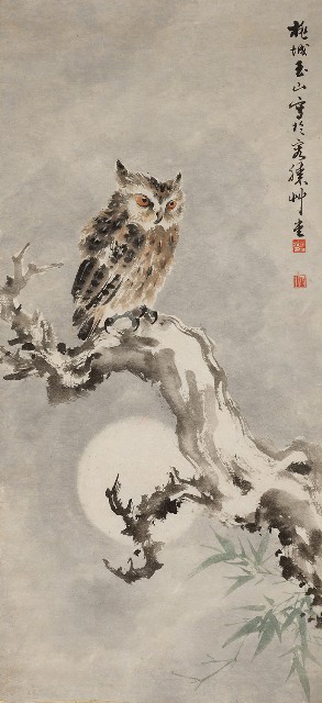 藏品:貓頭鷹的(1)張圖片